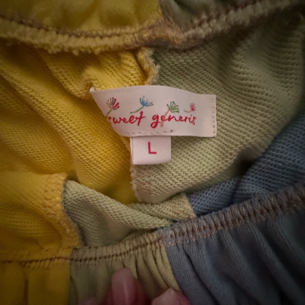 Vertical Color Block Shorts - image 2